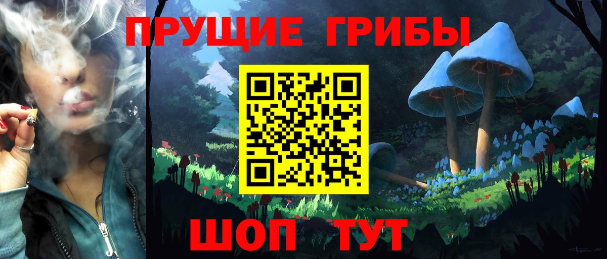 Псилоцибиновые грибы Magic Shrooms Куйбышев